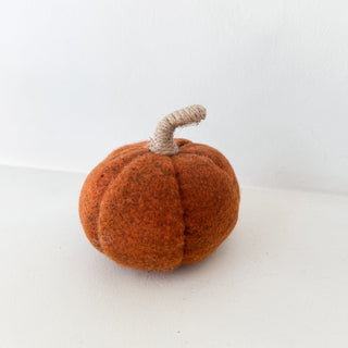Citrouille tissu Orange